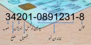 CNIC Code Information: Hidden Secret Behind Every Digit of NADRA ID Card