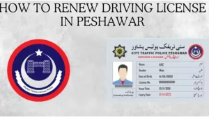 How To Renew Driving License In Peshawar